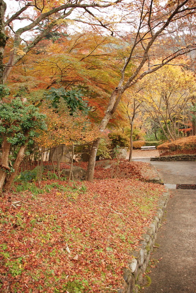 下雨很討厭呀~~