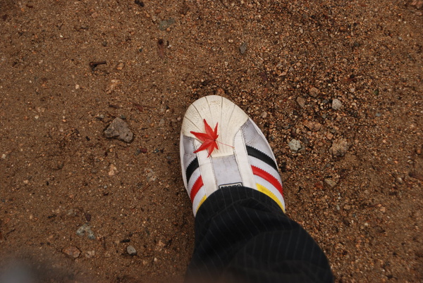 在鞋上的落葉~~