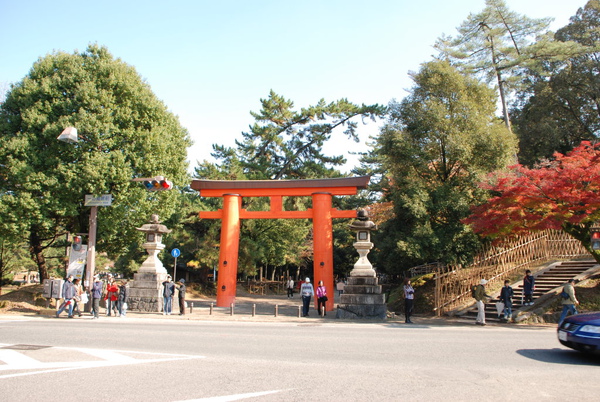 春日大社的鳥居~