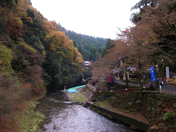 這邊是夏天應該很涼爽吧～應該也是有川席料理吧～