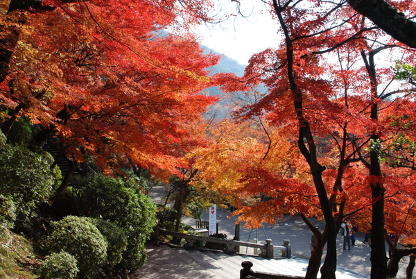 清水寺正紅~