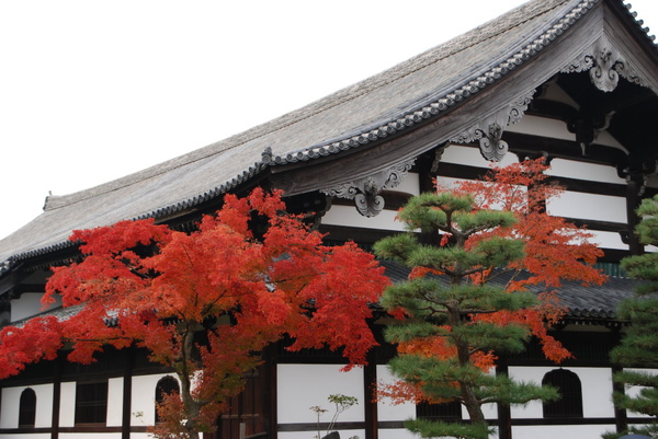 後來才知道他們不是遊覽車就是搭JR來..路跟我們不一樣