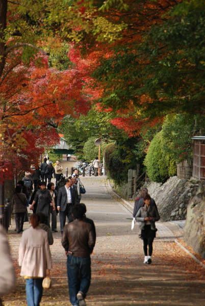 有楓紅有河川~~宇治騎腳踏車很舒服~~