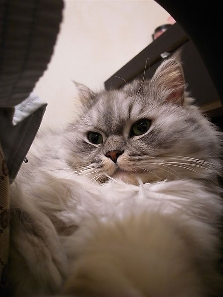 這個角度他好帥~