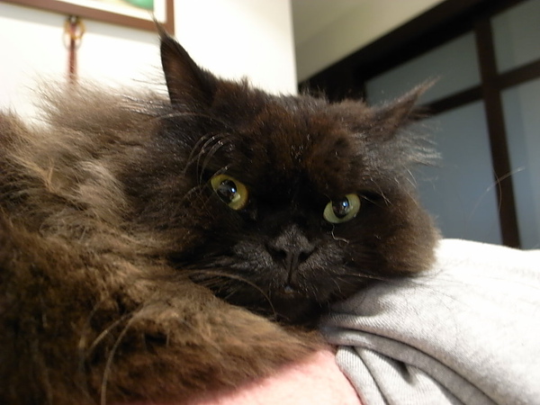 偷拍黑皮被發現