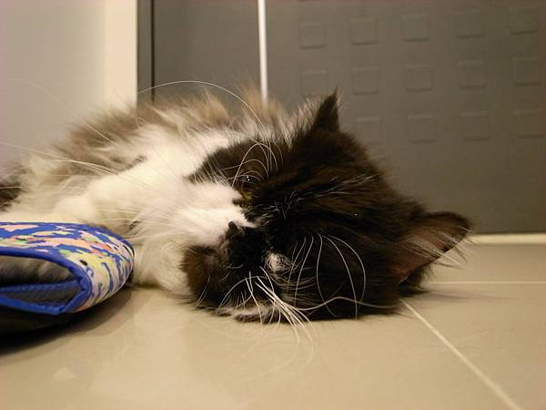 現在冷靜下來了