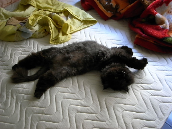 黑皮這個月很多照片