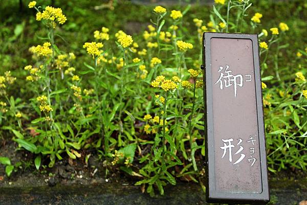 IMG_8192.jpg IMG_8192.jpg