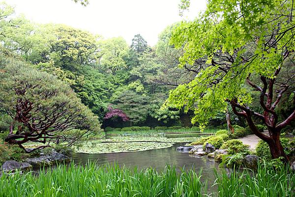 IMG_8202.jpg IMG_8202.jpg