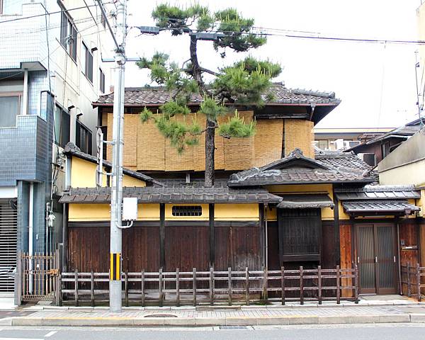 IMG_8282.jpg IMG_8282.jpg