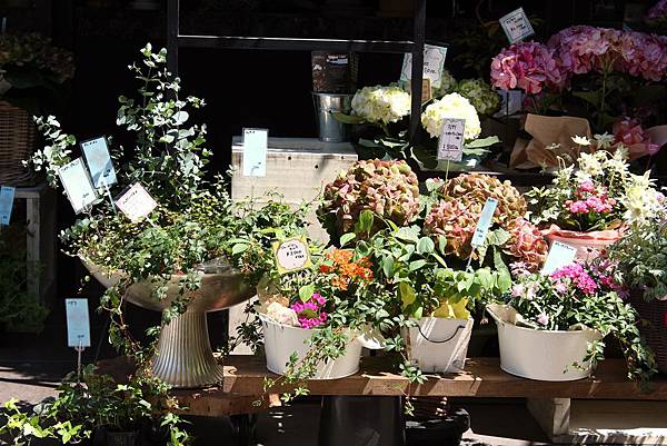 IMG_8551.jpg IMG_8551.jpg