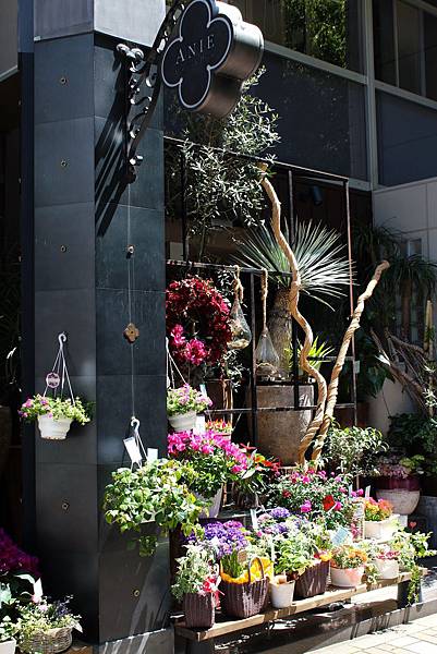 IMG_8553.jpg IMG_8553.jpg