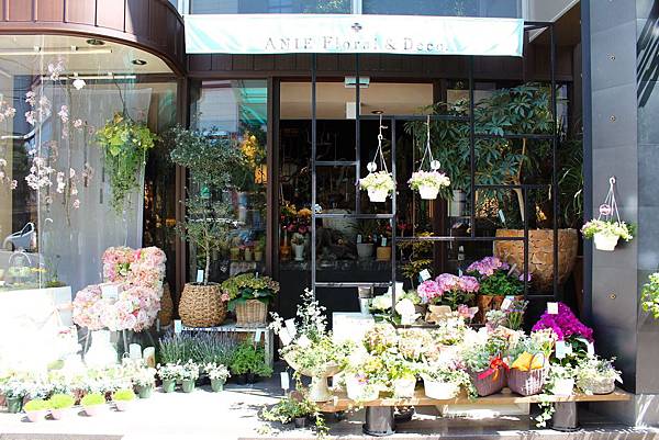 IMG_8548.jpg IMG_8548.jpg