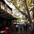 syd tour D3074.JPG