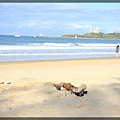 mooloolaba beach (9).JPG