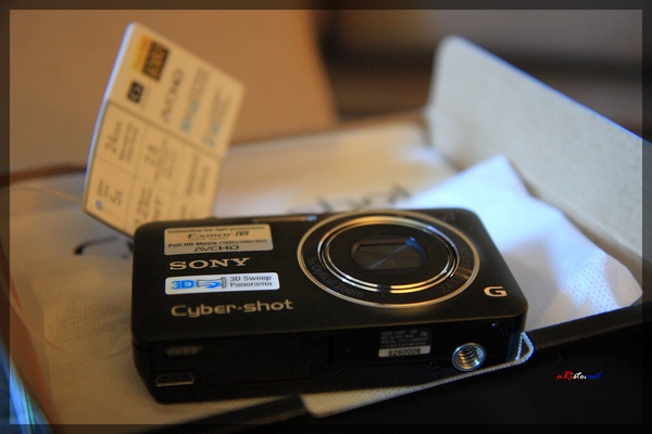 SONY WX5 010.JPG