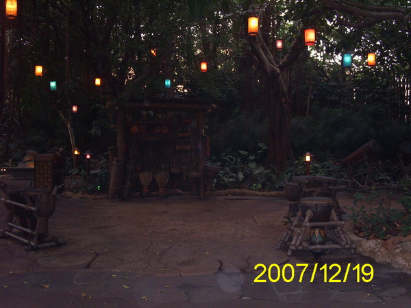 Disneyland原始森林..