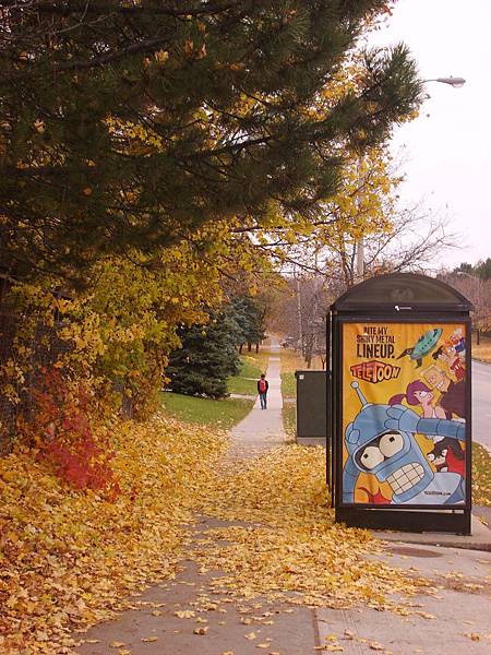 bus stop in the fall