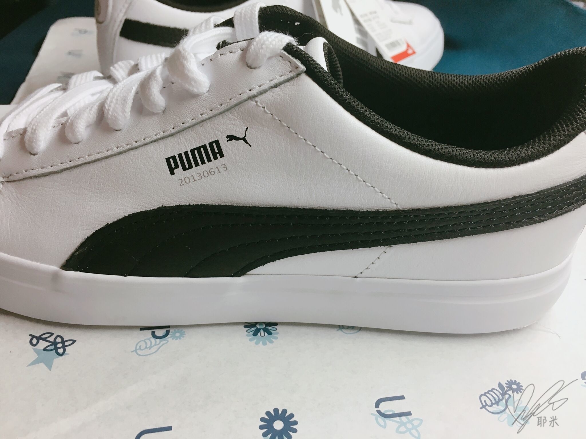 puma 20130613