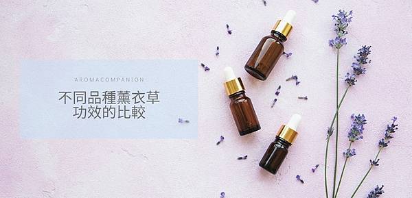 不同品種薰衣草功效的比較-1 不同品種薰衣草功效的比較-1