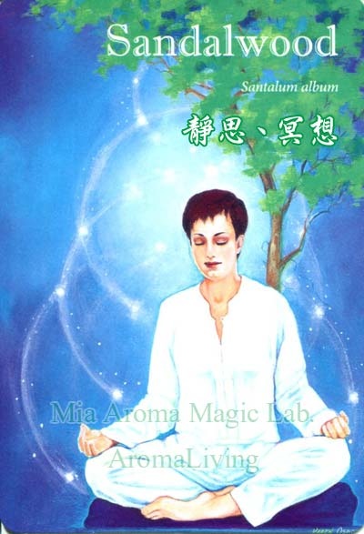 洞悉卡-035-檀香 洞悉卡-035-檀香