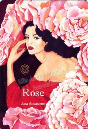 Rose Rose