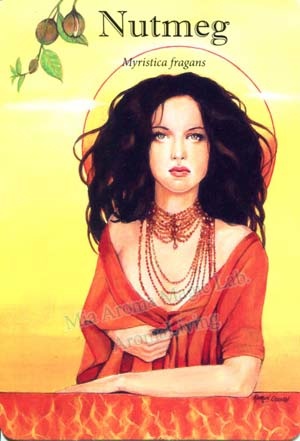 N-肉豆蔻 N-肉豆蔻