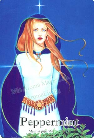 P-歐薄荷 P-歐薄荷