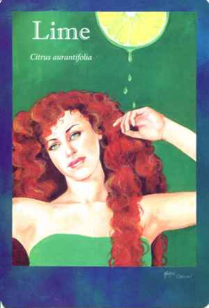 精油洞悉卡L-016-w300-Q40 精油洞悉卡L-016-w300-Q40