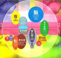 四象限彩圖 四象限彩圖
