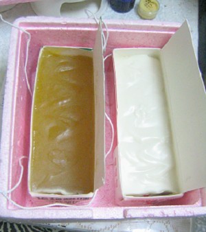 照片20071010 013.jpg