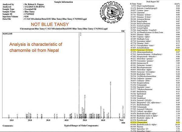 Fake Blue Tansy GC 2