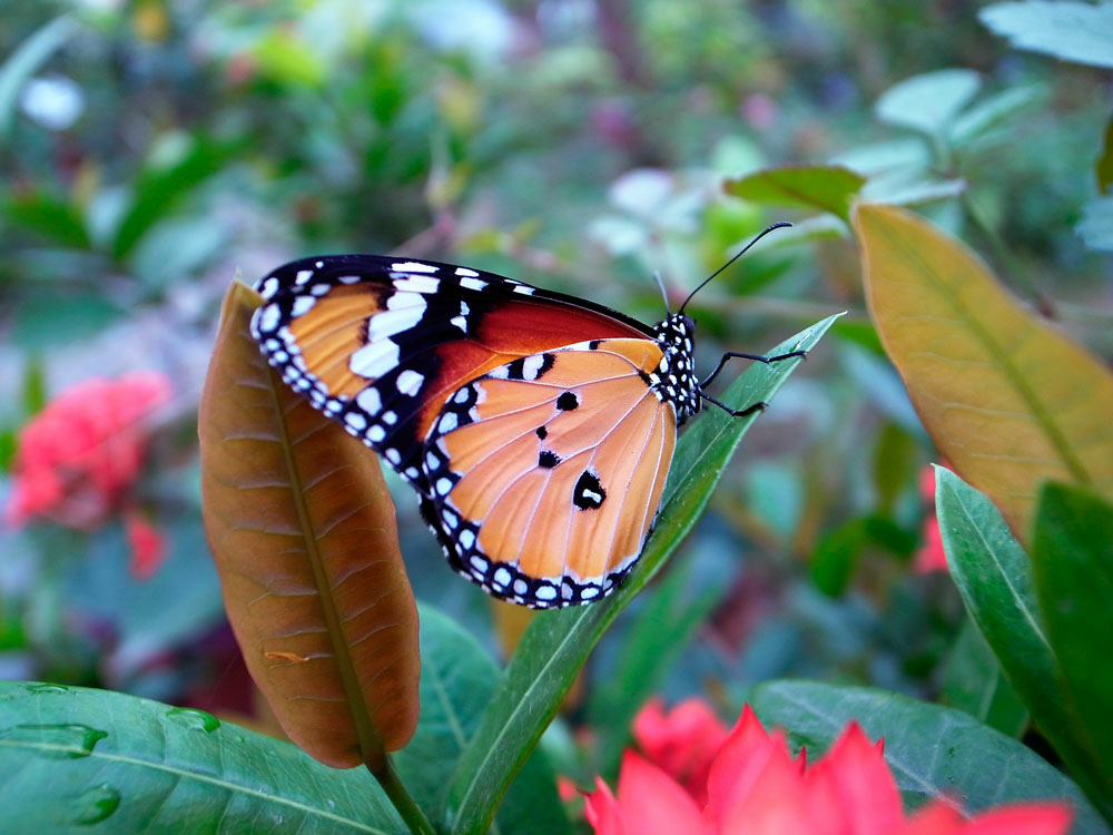 _0013679.jpg _0013679.jpg