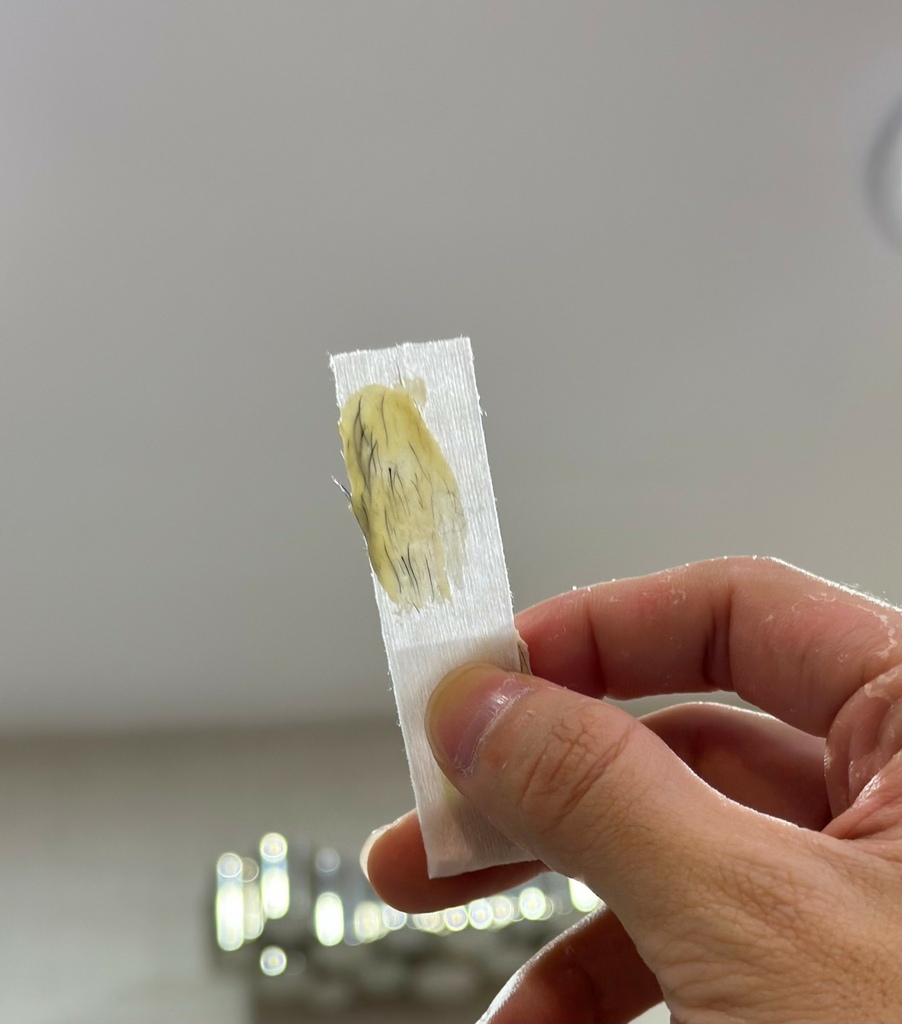 B17F4B14-895F-4DD7-B8F9-90A32115CCA1.jpg B17F4B14-895F-4DD7-B8F9-90A32115CCA1.jpg