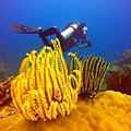 58 Artistic Diving Resort.JPG