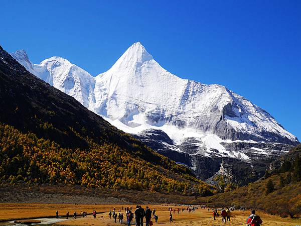 24-酸酸 四川稻城亞丁 央邁勇雪山.JPG