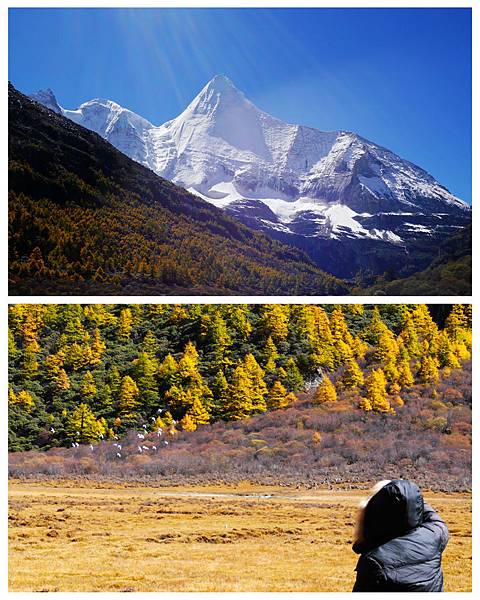 34-酸酸 四川稻城亞丁 央邁勇雪山.jpg