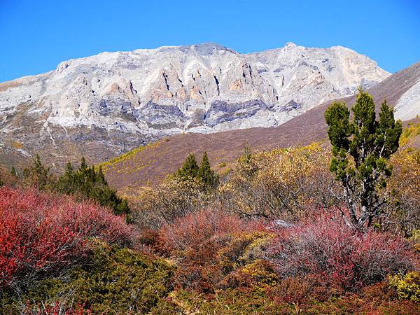 50-酸酸 四川稻城亞丁 十六尊者.JPG 50-酸酸 四川稻城亞丁 十六尊者.JPG