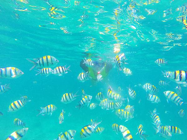 19-宿霧加勒比海島餐廳浮潛、釣魚.JPG