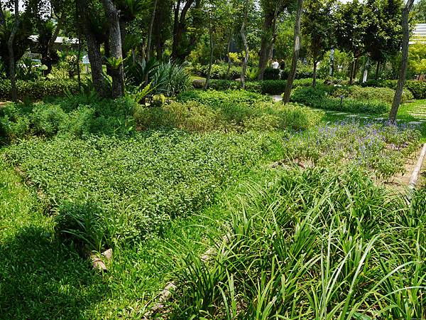 08-苗栗 雅聞香草植物工廠.JPG