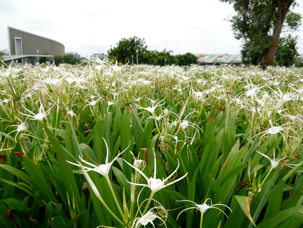 05-圓山公園.JPG