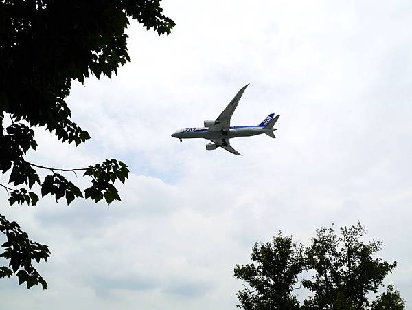 08-圓山公園 大飛機.JPG