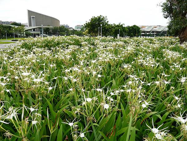 03-圓山公園.JPG