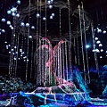 18-太陽馬戲阿凡達前傳 Cirque Du Soleil TORUK.JPG