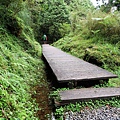 26-宜蘭太平山 見晴懷古步道.JPG