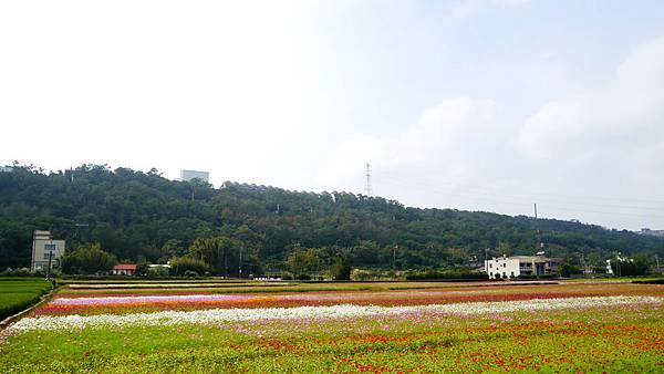 a19-桃園花彩節 龍潭場 空拍.JPG