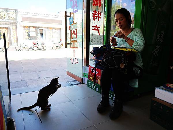 24-酒店小超商借膠水 逗貓咪.JPG