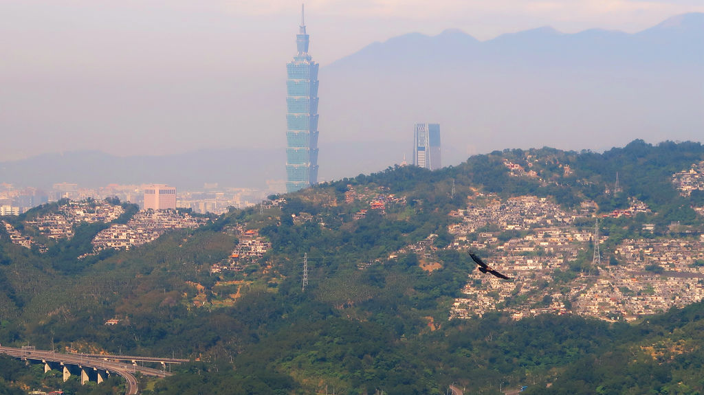 28-台北貓纜半日遊 貓空魯冰花 水晶車箱.JPG