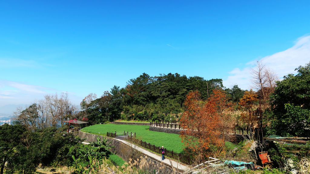 42-台北貓纜半日遊 貓空魯冰花 水晶車箱.JPG