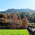 47-台北貓纜半日遊 貓空魯冰花 水晶車箱.JPG